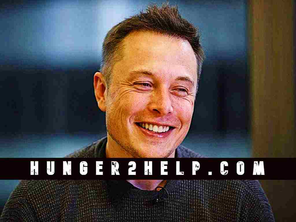 Why Did Elon Musk Lose His Hair