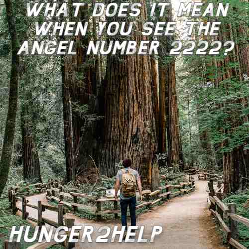 Angel Number 2222