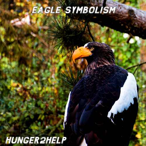 Eagles Are Considered To Be A Symbol Of Hope And Inspiration