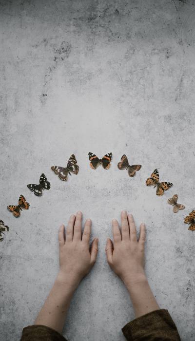 Butterflies and hands