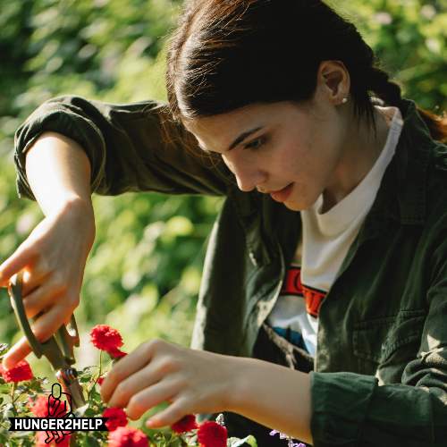 Girl cutting flower with a scissor